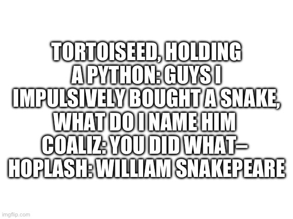 Blank White Template | TORTOISEED, HOLDING A PYTHON: GUYS I IMPULSIVELY BOUGHT A SNAKE, WHAT DO I NAME HIM 
COALIZ: YOU DID WHAT– 
HOPLASH: WILLIAM SNAKEPEARE | image tagged in blank white template | made w/ Imgflip meme maker