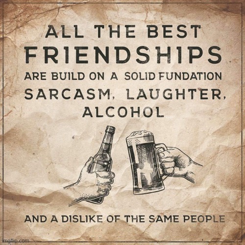 The best friendships | image tagged in friendships,built on foundation,sarcasm,laughter,booze,dislike of same people | made w/ Imgflip meme maker