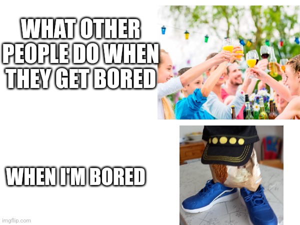 When im bored | WHAT OTHER PEOPLE DO WHEN THEY GET BORED; WHEN I'M BORED | image tagged in party,memes,drip | made w/ Imgflip meme maker