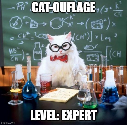 Chemistry Cat Meme | CAT-OUFLAGE LEVEL: EXPERT | image tagged in memes,chemistry cat | made w/ Imgflip meme maker