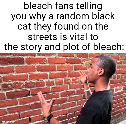 bleach be like (Yoruichi Shihouin) | bleach fans telling you why a random black cat they found on the streets is vital to
 the story and plot of bleach: | image tagged in talking to wall | made w/ Imgflip meme maker