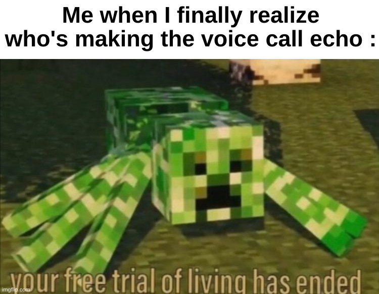 Your Free Trial of Living Has Ended | Me when I finally realize who's making the voice call echo : | image tagged in your free trial of living has ended | made w/ Imgflip meme maker