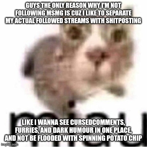 No hate obv | GUYS THE ONLY REASON WHY I'M NOT FOLLOWING MSMG IS CUZ I LIKE TO SEPARATE MY ACTUAL FOLLOWED STREAMS WITH SHITPOSTING; LIKE I WANNA SEE CURSEDCOMMENTS, FURRIES, AND DARK HUMOUR IN ONE PLACE, AND NOT BE FLOODED WITH SPINNING POTATO CHIP | image tagged in miau | made w/ Imgflip meme maker