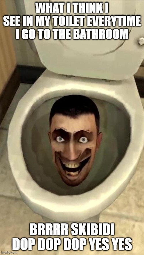 MY GOD IT'S EVERYWHERE | WHAT I THINK I SEE IN MY TOILET EVERYTIME I GO TO THE BATHROOM; BRRRR SKIBIDI DOP DOP DOP YES YES | image tagged in skibidi toilet | made w/ Imgflip meme maker
