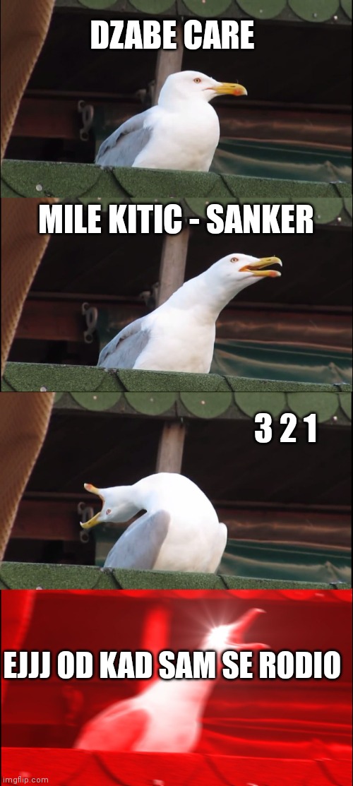 Inhaling Seagull | DZABE CARE; MILE KITIC - SANKER; 3 2 1; EJJJ OD KAD SAM SE RODIO | image tagged in memes,inhaling seagull | made w/ Imgflip meme maker