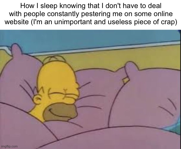 jokes aside, i do feel bad for popular users that have to suffer this | How I sleep knowing that I don't have to deal with people constantly pestering me on some online website (I'm an unimportant and useless piece of crap) | image tagged in how i sleep homer simpson | made w/ Imgflip meme maker