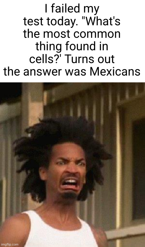 damnnnn got roasted | I failed my test today. "What's the most common thing found in cells?' Turns out the answer was Mexicans | image tagged in disgusted face,funny,damnnnn you got roasted,racist,mexican,test | made w/ Imgflip meme maker