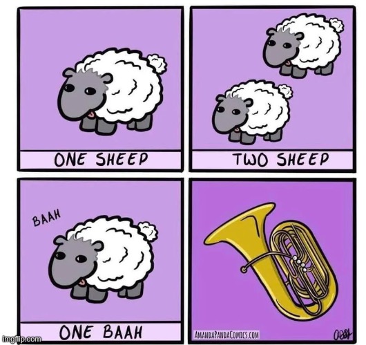 funni sheep moment | image tagged in sheep,tuba | made w/ Imgflip meme maker