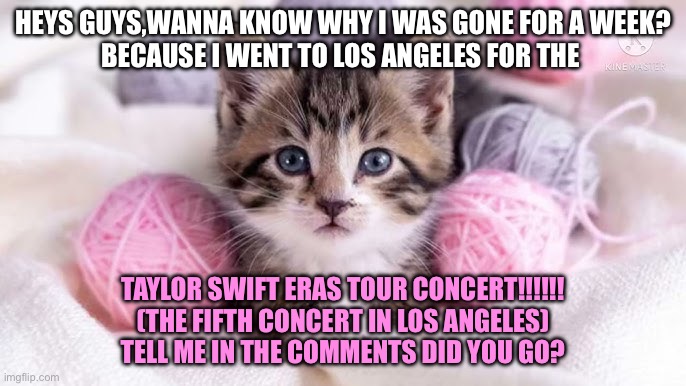 And then I went to the cat cafe and then to Redondo Beach…. | HEYS GUYS,WANNA KNOW WHY I WAS GONE FOR A WEEK?
BECAUSE I WENT TO LOS ANGELES FOR THE; TAYLOR SWIFT ERAS TOUR CONCERT!!!!!!
(THE FIFTH CONCERT IN LOS ANGELES)
TELL ME IN THE COMMENTS DID YOU GO? | image tagged in taylor swift,concert,kitten | made w/ Imgflip meme maker