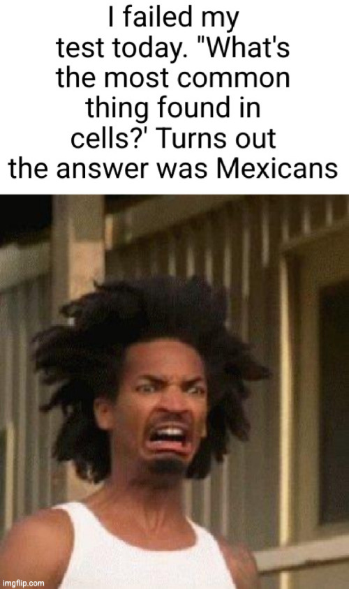 *dies of laughter* | image tagged in racist,holy crap,mexicans,funny,school,prison | made w/ Imgflip meme maker