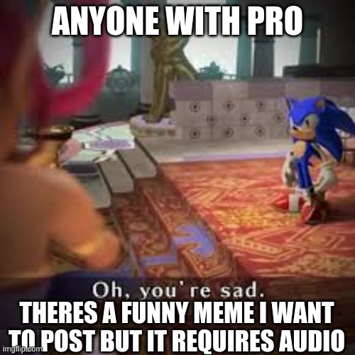 sonic oh youre sad | ANYONE WITH PRO; THERES A FUNNY MEME I WANT TO POST BUT IT REQUIRES AUDIO | image tagged in sonic oh youre sad | made w/ Imgflip meme maker
