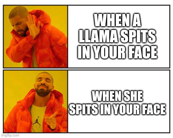 No - Yes | WHEN A LLAMA SPITS IN YOUR FACE; WHEN SHE SPITS IN YOUR FACE | image tagged in no - yes | made w/ Imgflip meme maker