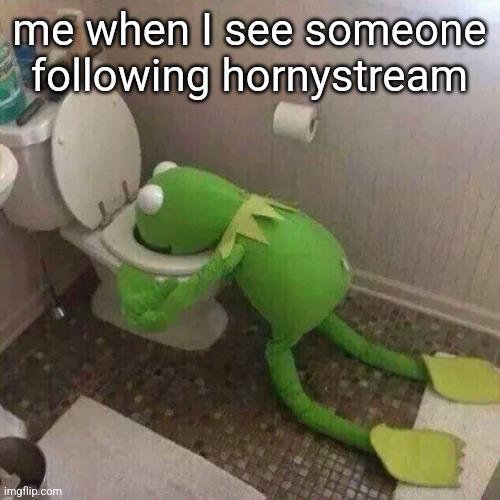 kermit the frog vomiting in toilet | me when I see someone following hornystream | image tagged in kermit the frog vomiting in toilet | made w/ Imgflip meme maker