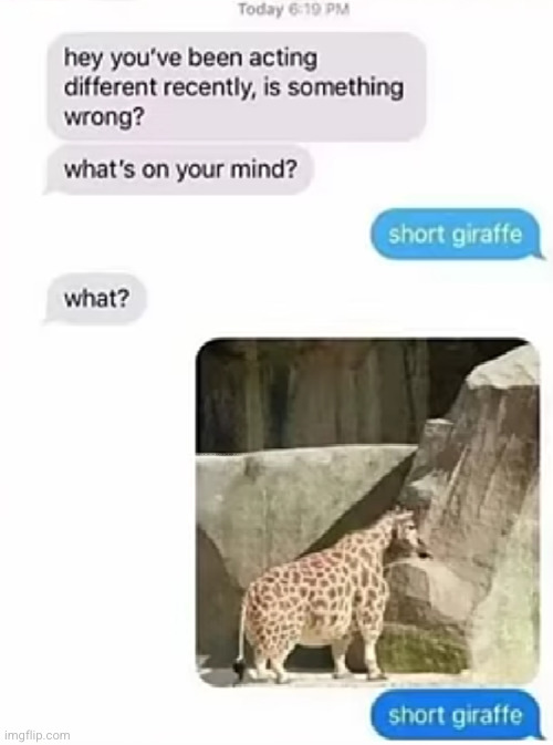 I can't get it off my mind :,) | image tagged in funny giraffe,giraffe,funny,funny texts,what the heck,wierd | made w/ Imgflip meme maker