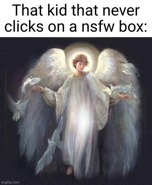 imagine I mark this meme as- | That kid that never clicks on a nsfw box: | image tagged in angels,nsfw,angel,perfect,holy,memes | made w/ Imgflip meme maker