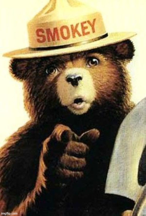 smokey the bear | image tagged in smokey the bear | made w/ Imgflip meme maker