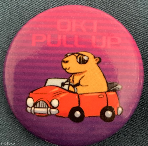 Got a pin of the Ok I Pull Up capybara | made w/ Imgflip meme maker