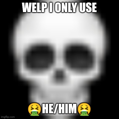 Skull emoji | WELP I ONLY USE ?HE/HIM? | image tagged in skull emoji | made w/ Imgflip meme maker