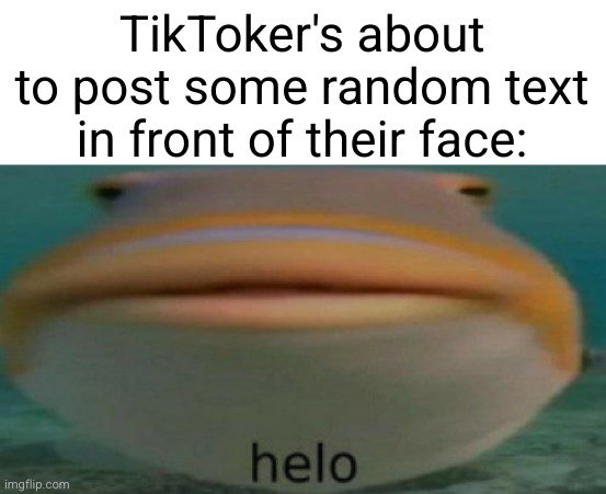 hey guys what if... *helo* | TikToker's about to post some random text in front of their face: | image tagged in helo,tiktok,so true,i know,funny,youtube | made w/ Imgflip meme maker