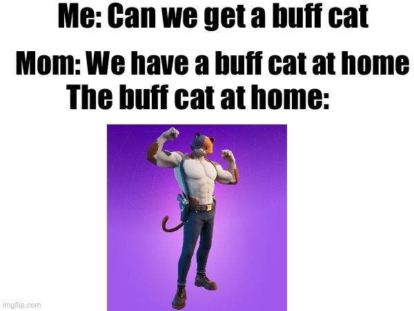 Me: Can we get a buff cat; Mom: We have a buff cat at home; The buff cat at home: | image tagged in meowscles,buff cat | made w/ Imgflip meme maker