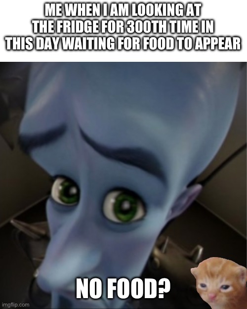 Megamind peeking | ME WHEN I AM LOOKING AT THE FRIDGE FOR 300TH TIME IN THIS DAY WAITING FOR FOOD TO APPEAR; NO FOOD? | image tagged in megamind peeking | made w/ Imgflip meme maker
