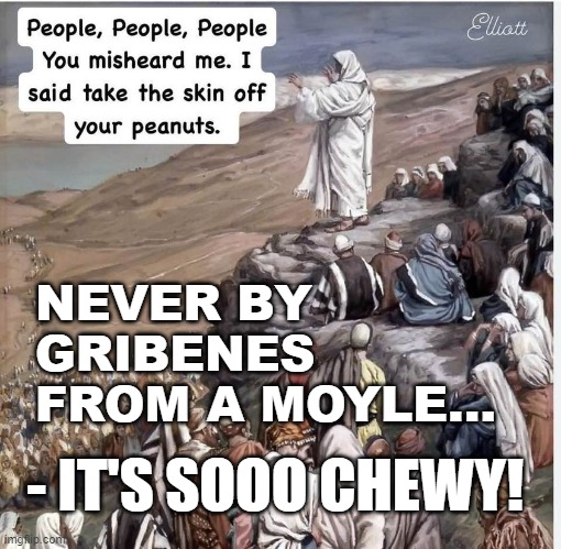 Never Buy Gribenes From A Moyle | NEVER BY GRIBENES FROM A MOYLE... - IT'S SOOO CHEWY! | image tagged in robin williams,mrs doubtfire,barbra streisand,satire,imgflip humor | made w/ Imgflip meme maker