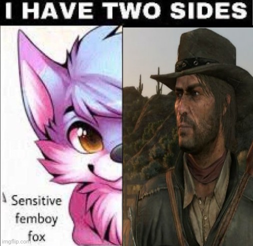 FRICKING JOHN MARSTON | image tagged in i have two sides | made w/ Imgflip meme maker