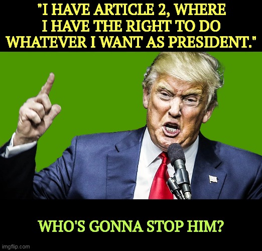 We can, at the ballot box. | "I HAVE ARTICLE 2, WHERE I HAVE THE RIGHT TO DO WHATEVER I WANT AS PRESIDENT."; WHO'S GONNA STOP HIM? | image tagged in trump,kills,american,democracy,stop,donald trump | made w/ Imgflip meme maker