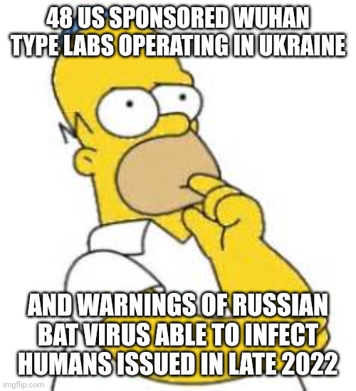 Homer Simpson Hmmmm | 48 US SPONSORED WUHAN TYPE LABS OPERATING IN UKRAINE AND WARNINGS OF RUSSIAN BAT VIRUS ABLE TO INFECT HUMANS ISSUED IN LATE 2022 | image tagged in homer simpson hmmmm | made w/ Imgflip meme maker