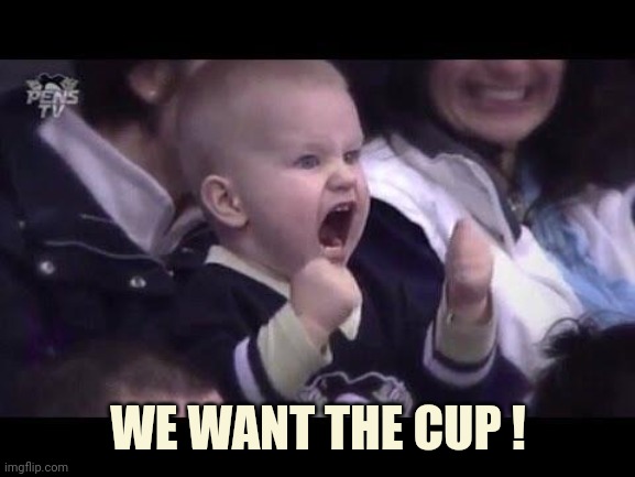 Hockey baby | WE WANT THE CUP ! | image tagged in hockey baby | made w/ Imgflip meme maker