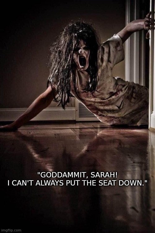 seat down | "GODDAMMIT, SARAH!
I CAN'T ALWAYS PUT THE SEAT DOWN." | image tagged in that would be great | made w/ Imgflip meme maker