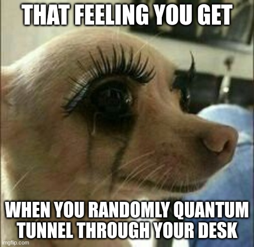 When you quantum tunnel through your desk | THAT FEELING YOU GET; WHEN YOU RANDOMLY QUANTUM TUNNEL THROUGH YOUR DESK | image tagged in mascara chihuahua | made w/ Imgflip meme maker