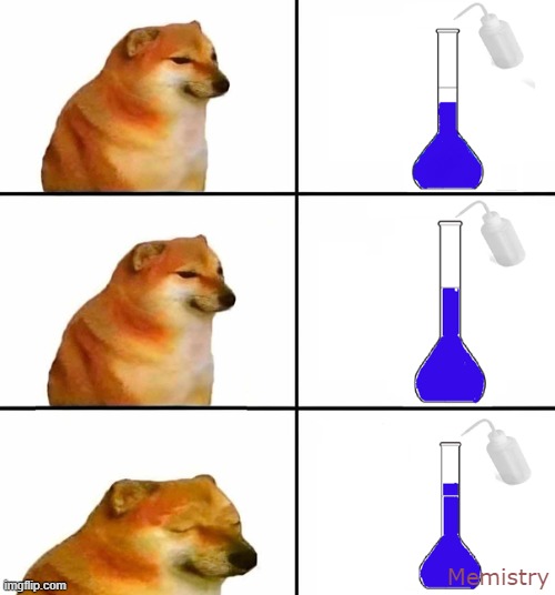 Sad chemist | Memistry | image tagged in science,chemistry,doggo,sad dog,doggo week | made w/ Imgflip meme maker