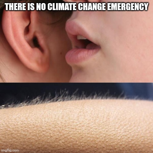 Whisper and Goosebumps | THERE IS NO CLIMATE CHANGE EMERGENCY | image tagged in whisper and goosebumps | made w/ Imgflip meme maker
