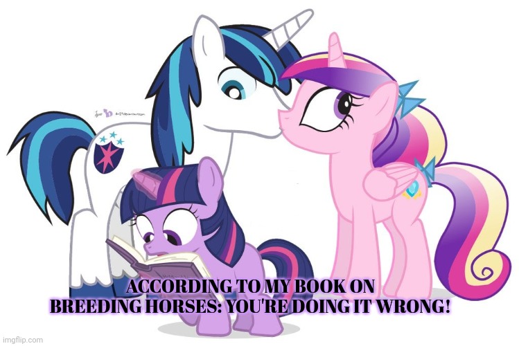 Stop it. Get some help | ACCORDING TO MY BOOK ON BREEDING HORSES: YOU'RE DOING IT WRONG! | image tagged in mlp,cadence,shining armor,twilight sparkle | made w/ Imgflip meme maker