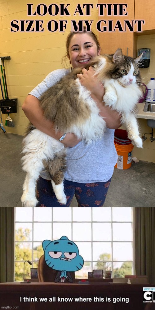 No this is not ok | LOOK AT THE SIZE OF MY GIANT | image tagged in i think we all know where this is going,stop it get some help,giant,cat | made w/ Imgflip meme maker