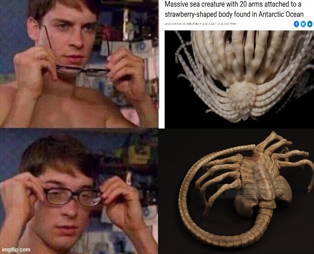 Alien facehugger is real | image tagged in spiderman glasses,alien,xenomorph,science | made w/ Imgflip meme maker