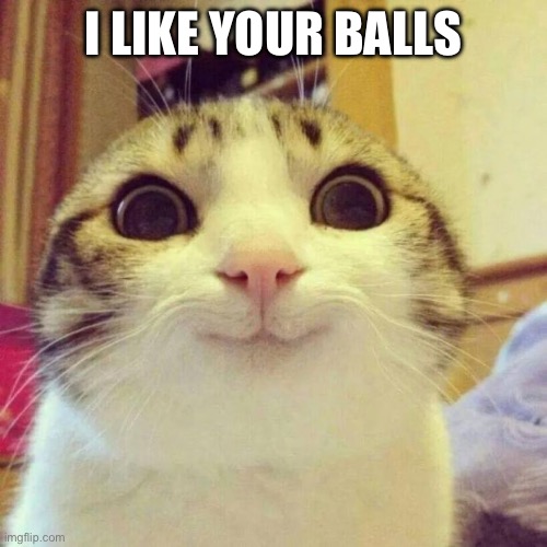 Smiling Cat Meme | I LIKE YOUR BALLS | image tagged in memes,smiling cat | made w/ Imgflip meme maker