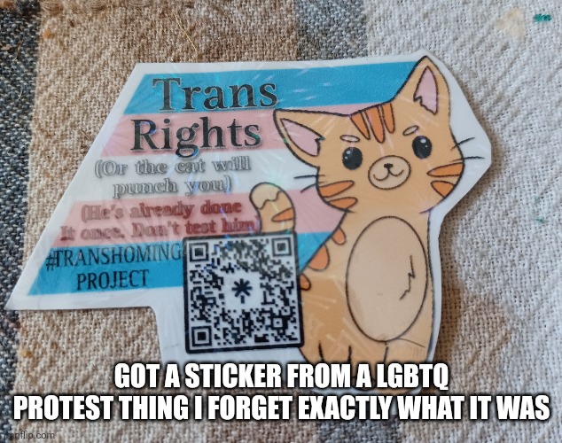 GOT A STICKER FROM A LGBTQ PROTEST THING I FORGET EXACTLY WHAT IT WAS | made w/ Imgflip meme maker