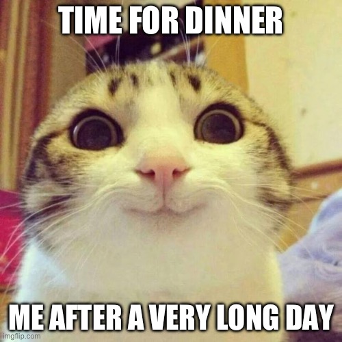 Smiling Cat | TIME FOR DINNER; ME AFTER A VERY LONG DAY | image tagged in memes,smiling cat | made w/ Imgflip meme maker