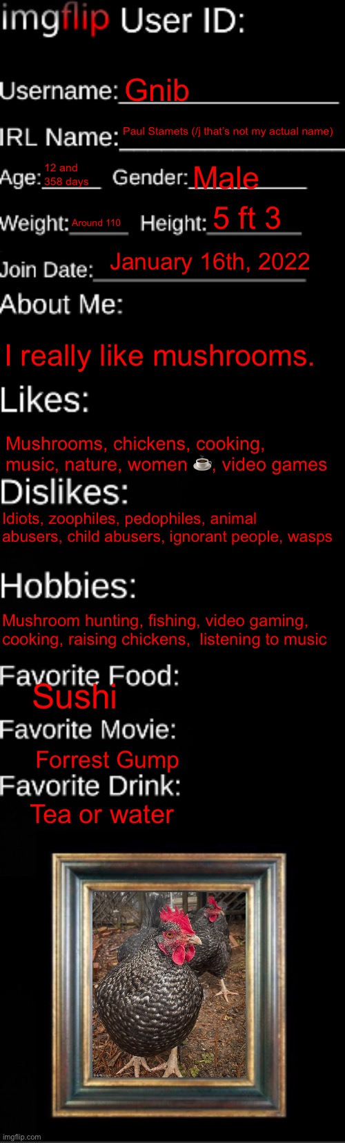 imgflip ID Card | Gnib; Paul Stamets (/j that’s not my actual name); 12 and 358 days; Male; 5 ft 3; Around 110; January 16th, 2022; I really like mushrooms. Mushrooms, chickens, cooking, music, nature, women ☕️, video games; Idiots, zoophiles, pedophiles, animal abusers, child abusers, ignorant people, wasps; Mushroom hunting, fishing, video gaming, cooking, raising chickens,  listening to music; Sushi; Forrest Gump; Tea or water | image tagged in imgflip id card | made w/ Imgflip meme maker