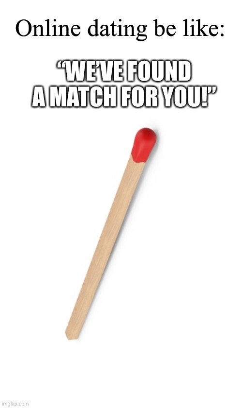 skinny, redhead, not into being lit… | Online dating be like:; “WE’VE FOUND A MATCH FOR YOU!” | image tagged in funny,online dating,match,i cannot imagine actually doing online dating | made w/ Imgflip meme maker
