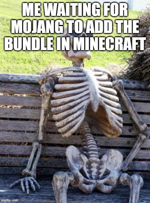 Waiting Skeleton | ME WAITING FOR MOJANG TO ADD THE BUNDLE IN MINECRAFT | image tagged in memes,waiting skeleton | made w/ Imgflip meme maker