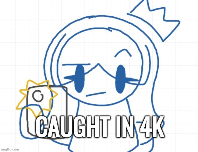 Caught in 4K | image tagged in caught in 4k | made w/ Imgflip meme maker