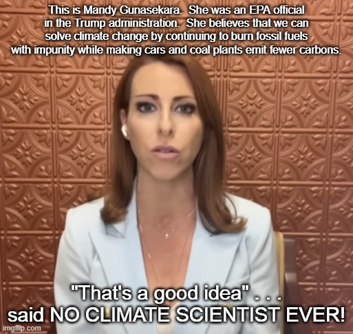 Mandy Gunasekara Environmental Idiot | This is Mandy Gunasekara.  She was an EPA official in the Trump administration.  She believes that we can solve climate change by continuing to burn fossil fuels with impunity while making cars and coal plants emit fewer carbons. "That's a good idea" . . . said NO CLIMATE SCIENTIST EVER! | image tagged in mandy gunasekara,anti-environmentalist idiot,climate change | made w/ Imgflip meme maker