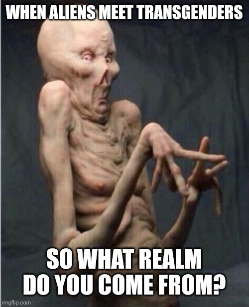 Grossed Out Alien | WHEN ALIENS MEET TRANSGENDERS SO WHAT REALM DO YOU COME FROM? | image tagged in grossed out alien | made w/ Imgflip meme maker