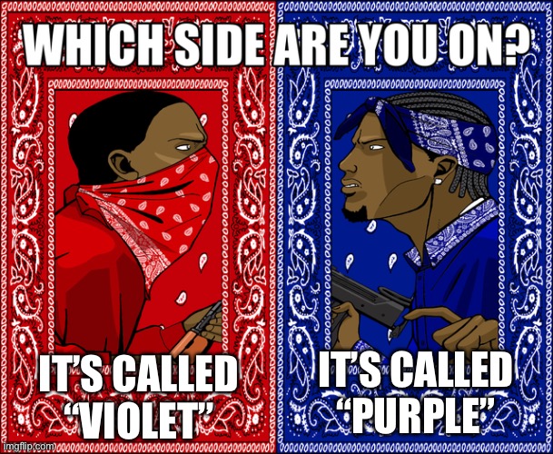 which one??? | IT’S CALLED “VIOLET”; IT’S CALLED “PURPLE” | image tagged in which side are you on | made w/ Imgflip meme maker