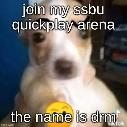 dog ayo | join my ssbu quickplay arena; the name is drm | image tagged in dog ayo | made w/ Imgflip meme maker