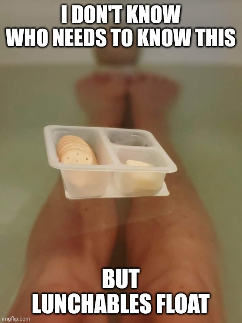 I DON'T KNOW WHO NEEDS TO KNOW THIS; BUT LUNCHABLES FLOAT | image tagged in float | made w/ Imgflip meme maker