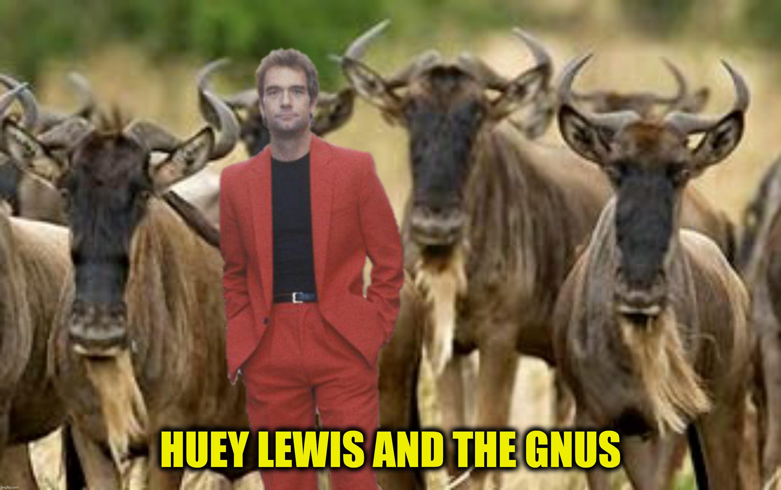 HUEY LEWIS AND THE GNUS | made w/ Imgflip meme maker